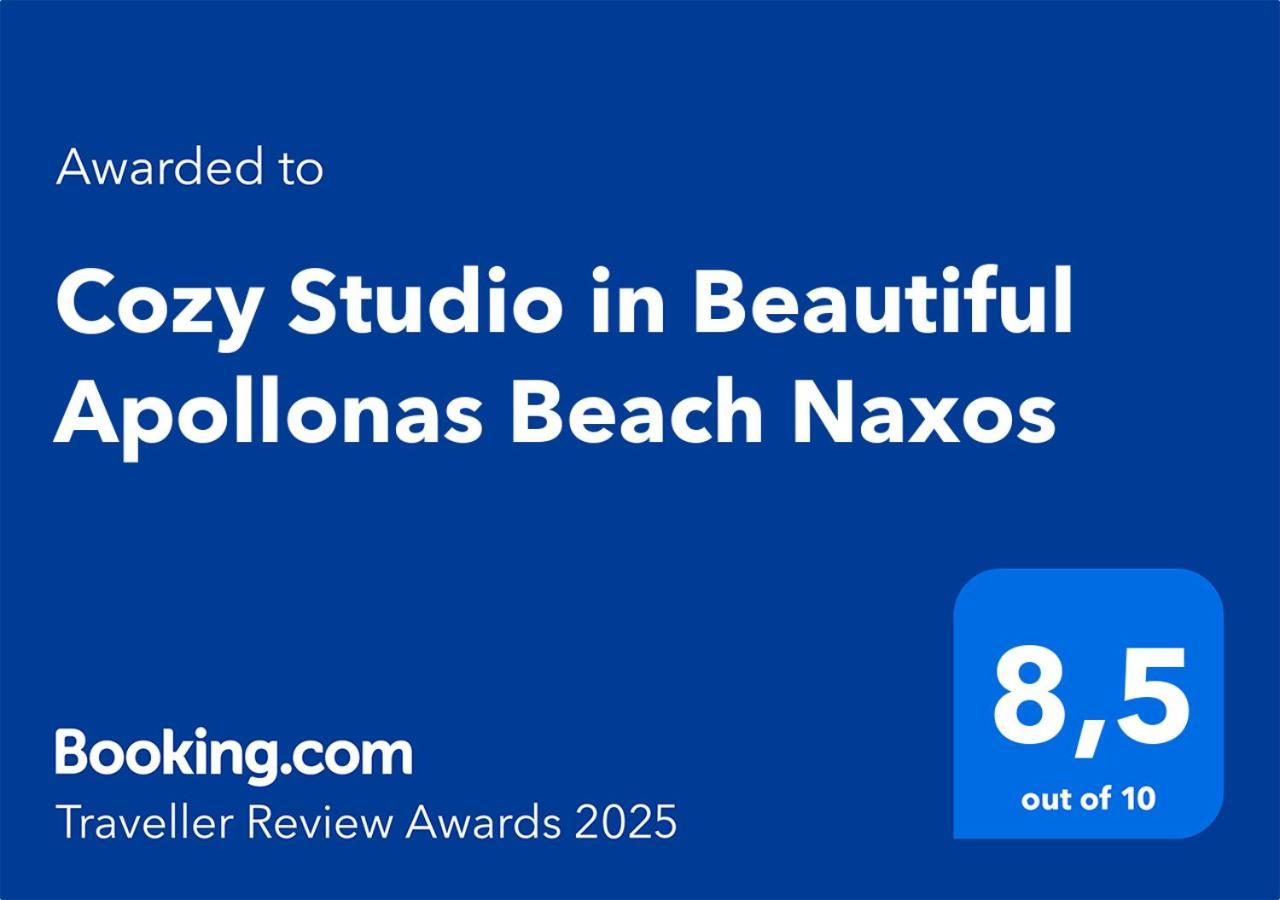 Cozy Studio In Beautiful Apollonas Beach Naxos Apollon  Екстер'єр фото
